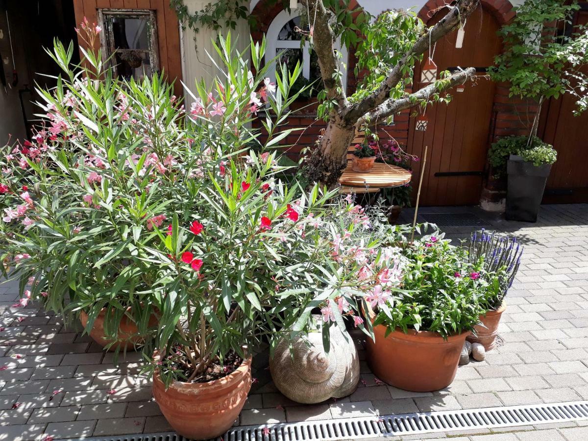 Apartment Zeitreise Quedlinburg Ngoại thất bức ảnh