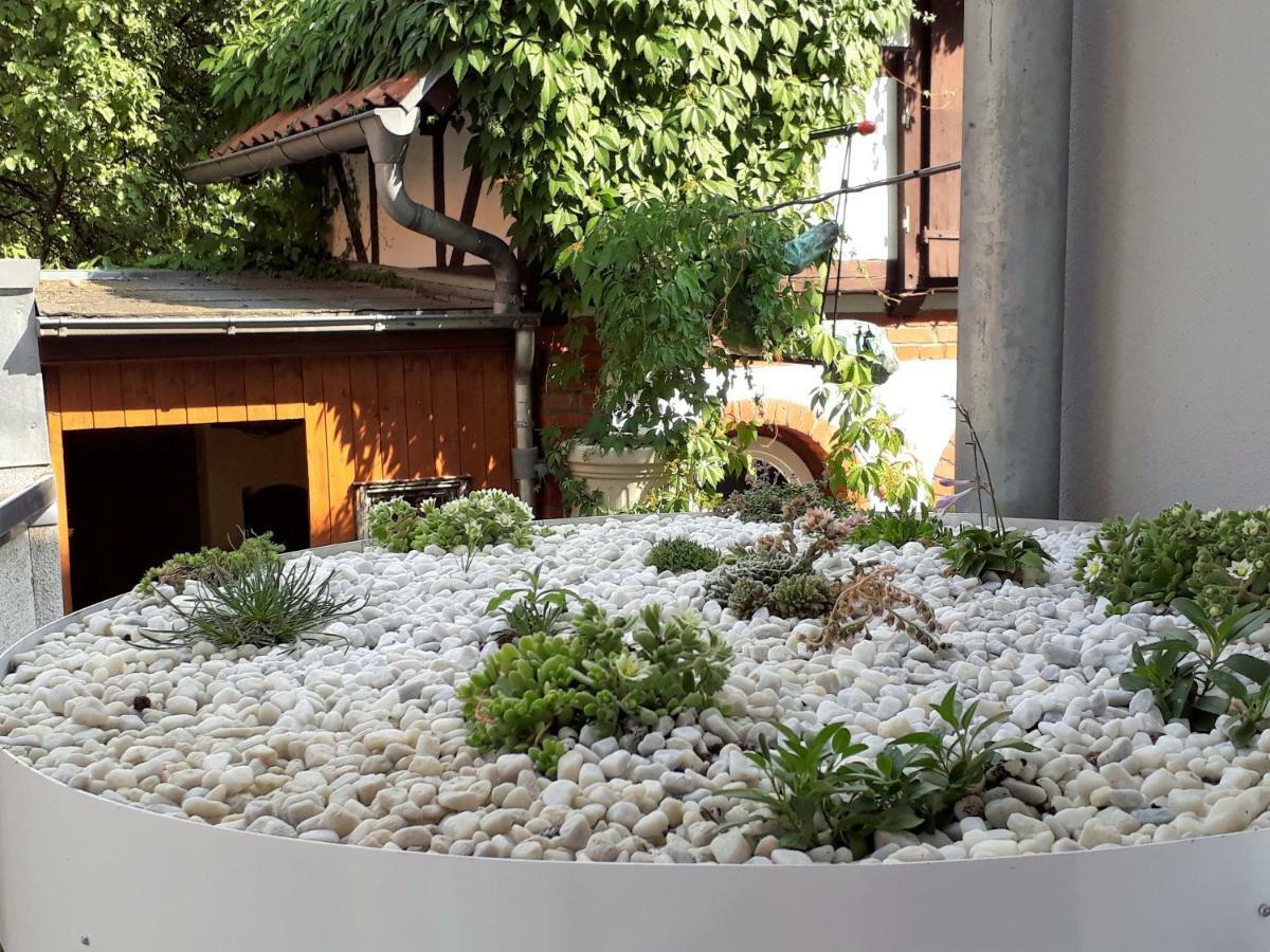 Apartment Zeitreise Quedlinburg Ngoại thất bức ảnh